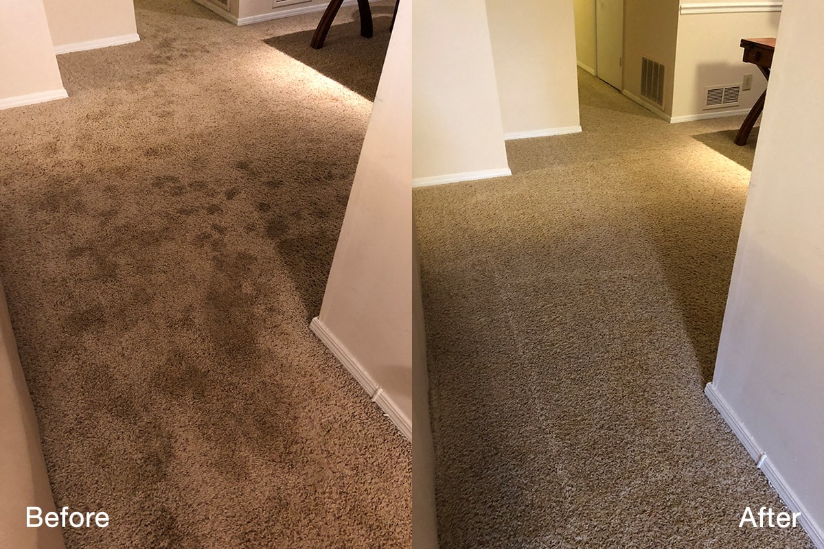 Two different carpet cleaning photos side by side.