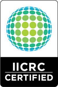 A green and blue ball with the words iicrc in front of it.