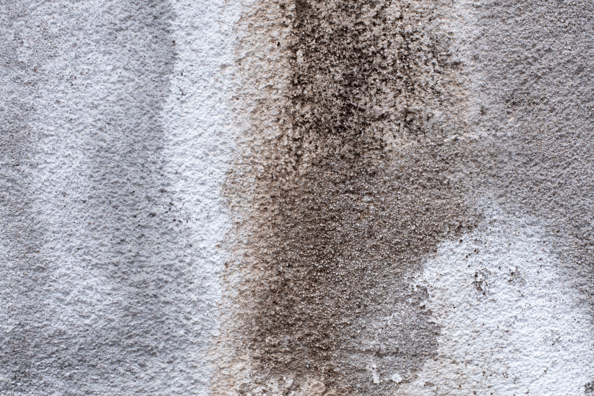 A moldy and dirty carpet.