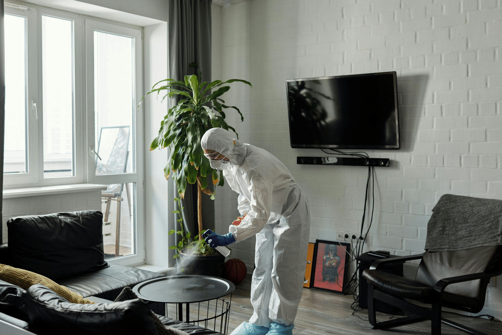 A professional cleaning home to remove pet stains.